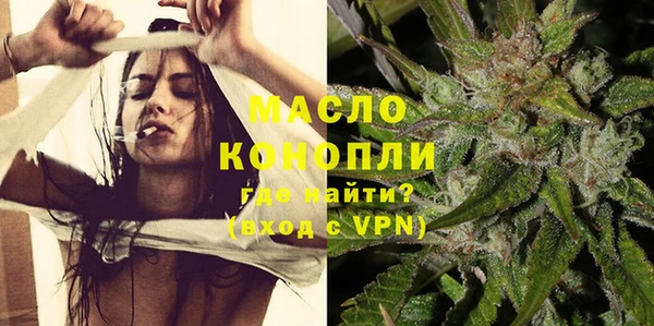 прущая мука Вяземский