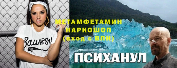 прущая мука Вяземский