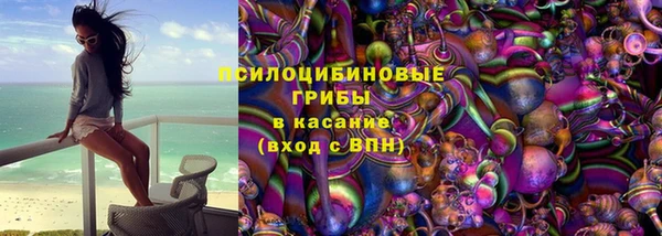 мдпв Вязьма