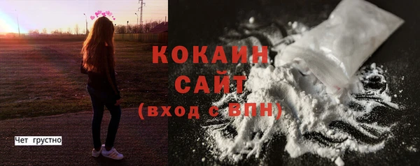 прущая мука Вяземский